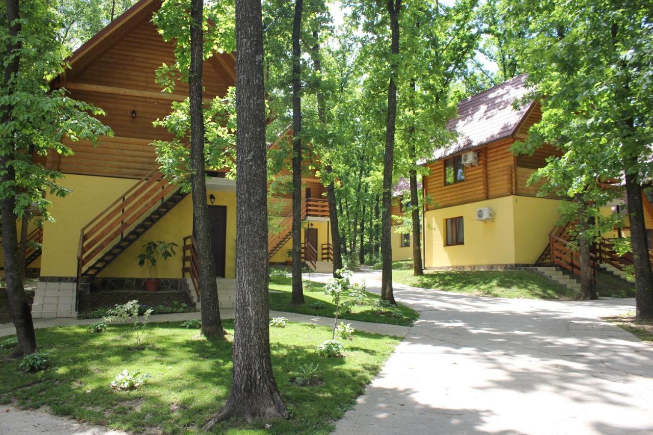 Hotel Вілія Lomacineţi Exterior foto